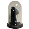 Dre Shrunken Head with Hair in Bell Jar