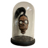 Harry Hunter Shrunken Head with Bell Jar