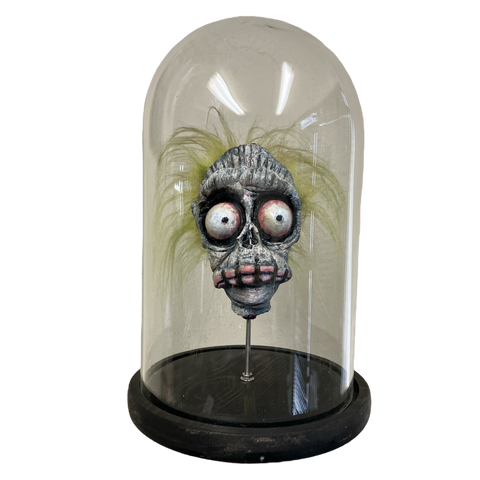 Bob Shrunken Head with Hair in Bell Jar