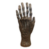 Bizarre! 6 Finger Mummy Hand